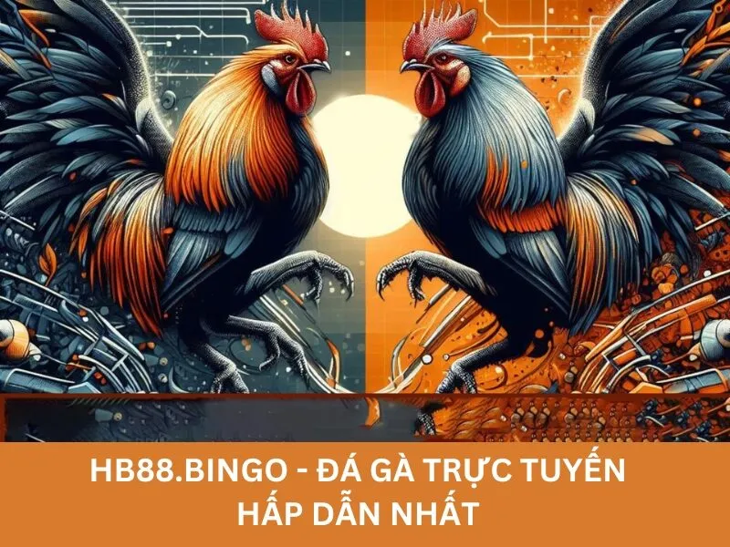 Đá gà trực tuyến tại HB88