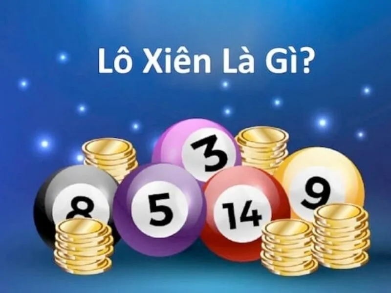 Lô xiên là gì?